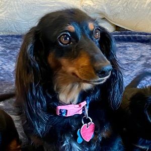 Meet your Posher, Tracy